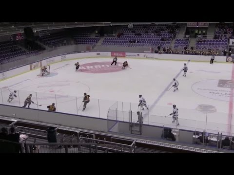 Höjdpunkter: Karlskoga stoppade kaxiga Pantern - TV4 Sport