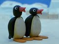 Aaf Pingu S01e11 Pingus Tobogganing Dvdrip Xvid