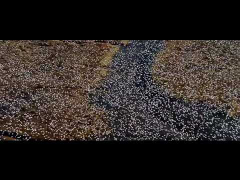 Félúton - Fluor Filigran és NAP