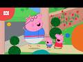 Run Daddy Run ‍ ️ Peppa Pig ABC Kids
