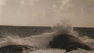 Swamp Dogg - Dust your head color red