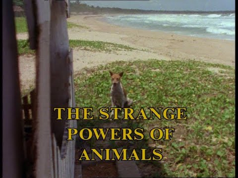 Arthur C. Clarke's Mysterious Universe - Ep. 19 - The Strange Powers of Animals