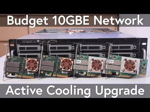 Noctua NF A4x10 PWM Kompiuterio dėklas Fan 4 cm rusvai gelsvas, Raudona video
