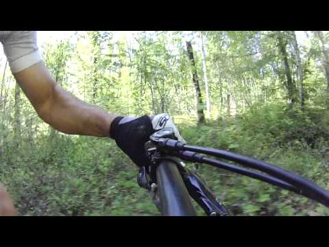 TwinLoc Lever System