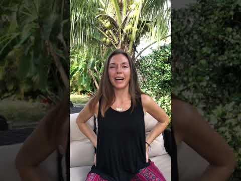 The Velvet Lotus video.