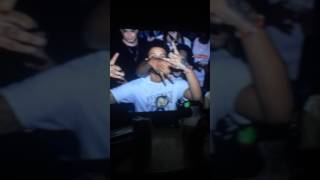 Smokepurpp Different Color Molly