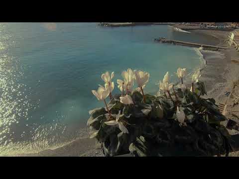 A beautiful afternoon in Bogliasco