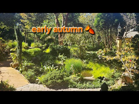 Early autumn 🍂 October 15/25,Ram Sorat Giberson garden, Ram Giberson Channel 🙏. 