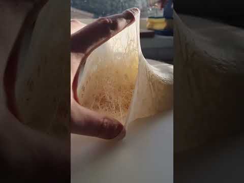 After 24 hrs fermentation at room temp, look at the gluten structure of this dough. #pizza #dough