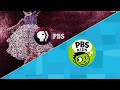 What If PBS Kids Was On PBS UK 27th March 2012