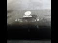 Opening To The King I 1994 VHS