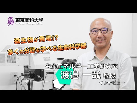 生命医科学科 【教員にインタビュー！】＃02 渡邉一哉教授（生命科学部）インタビュー
