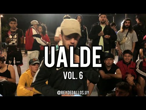 Barras Vol. 6 - UALDE