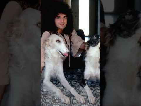 😍🙏🏻🍀— The Life I Got by Gino Vannelli (2025)