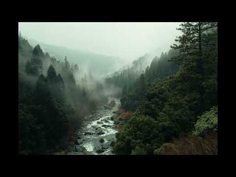 Arcuri Incordate - Jonathan Burla