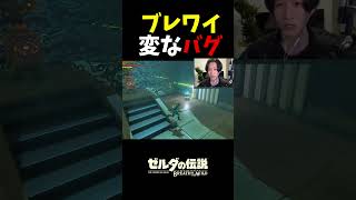 ブレワイで変なバグ起きた#ゼルダの伝説 #ゲーム実況 #shorts