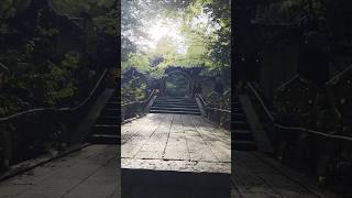 階段を登って門を越えた先にある神秘的な植物園 #HANABIYORI #よみうりランド  #おすすめスポット #おでかけvlog #japanlife #japantravel