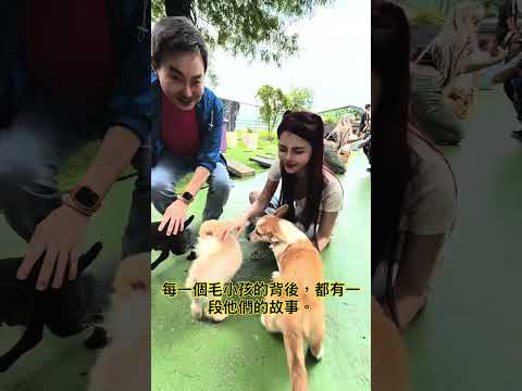 凱薩琳-網紅與善的距離 - 第2集《貓狗知道》投票區