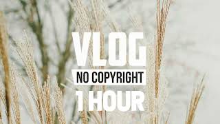 [1 Hour] - Danyx - Mask Off [No Copyright Music]
