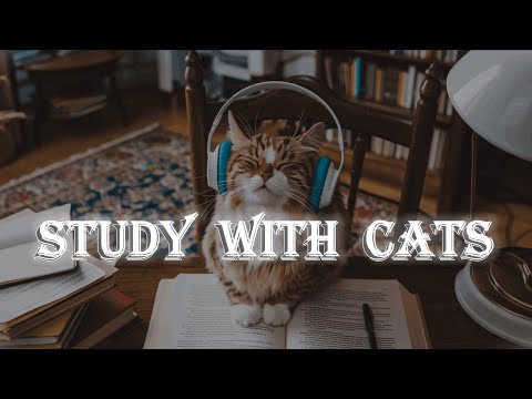 Relaxing  Music for Studying with Adorable Cats | Study Music + Cat TV