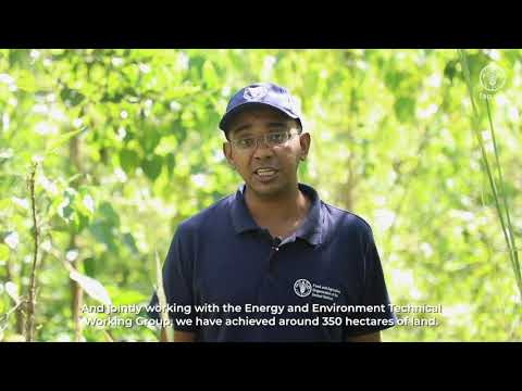 Greening the Rohingya Camps in cox’s Bazar Bangladesh