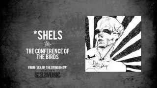 *shels- 'The Conference of the Birds'