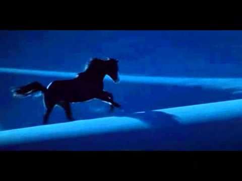 Hans Zimmer_ Now we are free /The Horse Whisperer/ fanmade