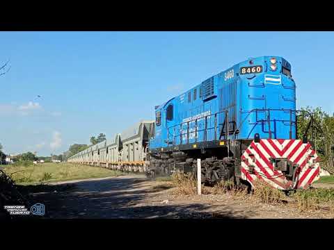 ALCO 8460 CON TOLVA DE PIEDRAS VACIAS #trenesargentinoscargas 