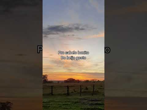 Recaída certa–William e Bidiko Part. Clayton e Romário #status #musica #recaidacerta #williamebidiko