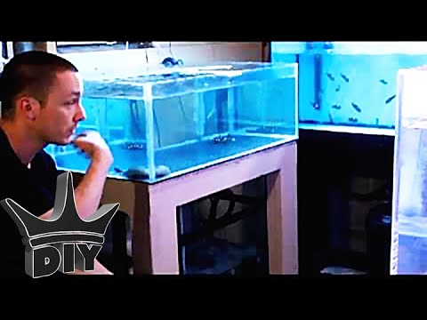 Ehersisyo para sa pagbaba ng timbang underbelly sa bahay Mawalan ng timbang mula sa 78 kg sa 68