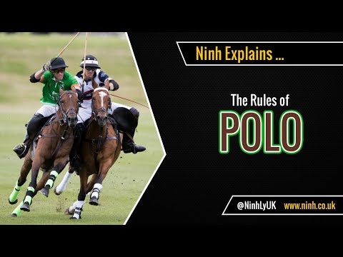 The Rules of Polo - EXPLAINED!