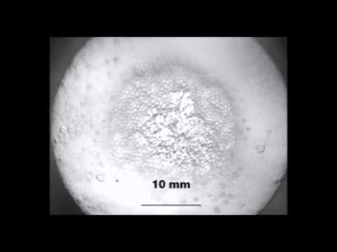 Surfactants for Bubble Removal against Buoyancy