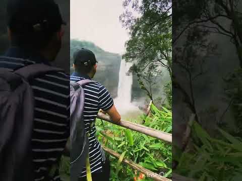 Nature and me💚                     #PhePhefalls #Nature #meghalaya  #ScotlandofEast #northeast