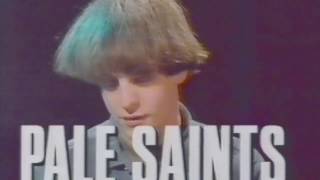 Pale Saints - Interview &amp; Time Thief video on 120 Minutes, MTV, 1990.