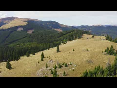 Tura MTB Ciungetu - Plaiul Poienii - Valea Macesului - partea 1