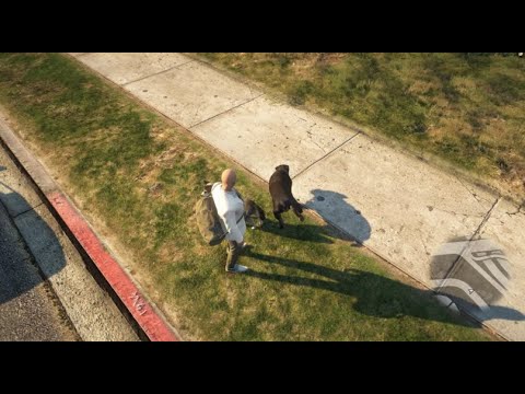 [Job] Dog Walking thumbnail 2