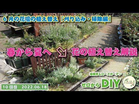 ディプラデニアスプリングポット土壌の管理方法