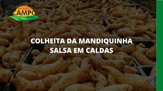 Miniatura do vídeo