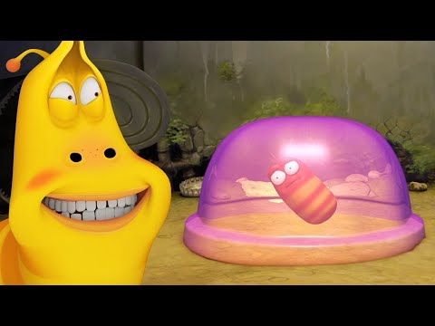 Capa de Pudim | LARVA | Cartoons para crianças | WildBrain em Português