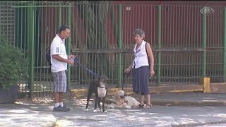 Miniatura do vídeo