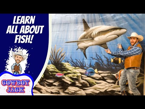Cowboy in a hat poses beside an underwater mural featuring a large shark; left panel reads 'LEARN ALL ABOUT FISH!' and 'COWBOY JACK'.