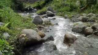 preview picture of video 'Lawigan River - Tubod Bacong Philippines'