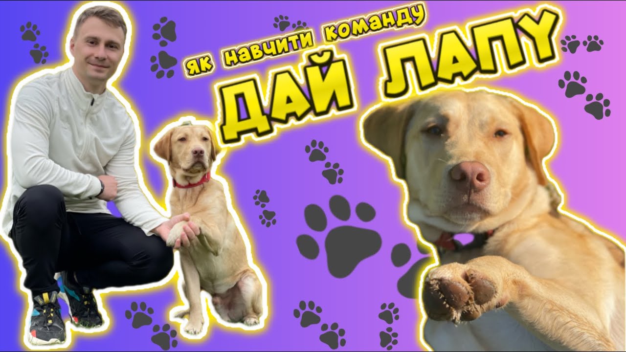 YouTube video preview