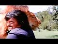 Superstar Rajinikanth Fighting With Lion Annai Oru Aalayam Tamil Movie
