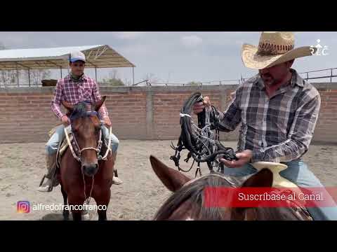 C18P3 EL CAMINO AL FUTURITY VIP - Alfredo "El Güero" Franco