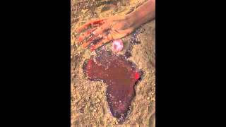 Lil B - Rob The Jeweler *NOT A MUSIC VIDEO* EPIC LISTEN TO SONG IN FULL 05 FUCK EM LEAK!