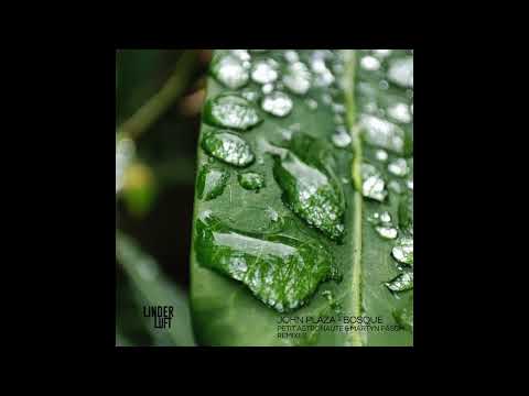 John Plaza - Glaciares (Petit Astronaute Remix)