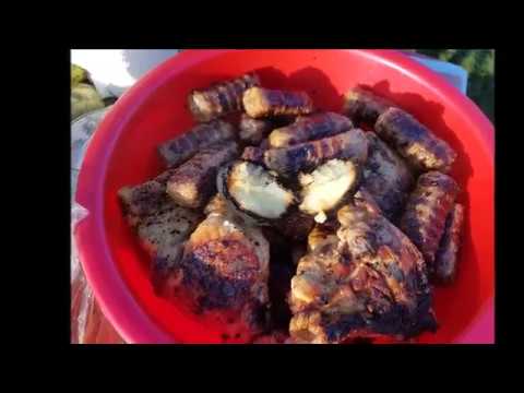 Piroșa - Sălaj România