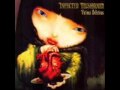 Infected Mushroom - In Front Of Me