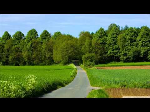 Manu Negrea - Ce bine e cu Domnul in orice vreme